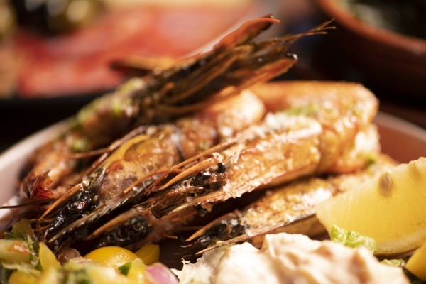 Foodpics-2020